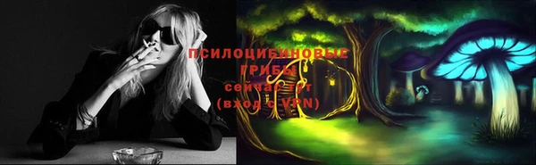 бошки Козельск