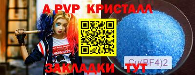 стафф Абакан