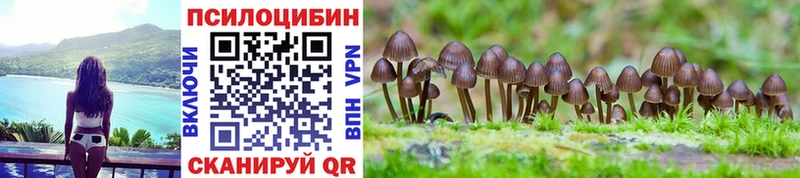 наркотики  Альметьевск  OMG tor  Галлюциногенные грибы мухоморы 