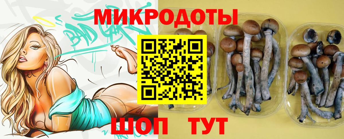 Псилоцибиновые грибы мицелий  Псилоцибиновые грибы Psilocybine cubensis  Вход с VPN  Альметьевск 