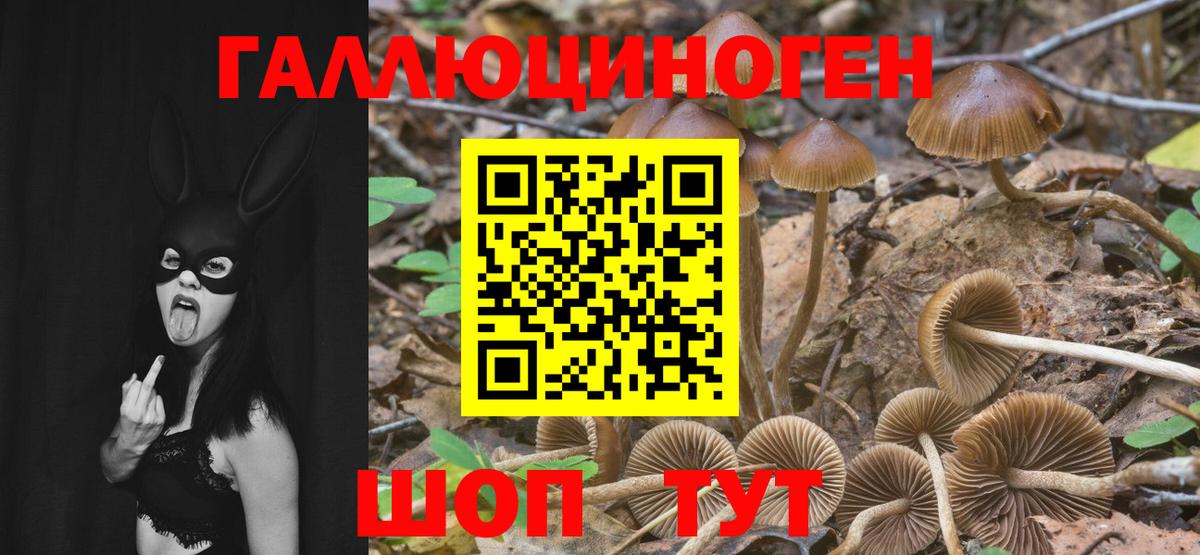 Галлюциногенные грибы прущие грибы  хочу   Альметьевск 